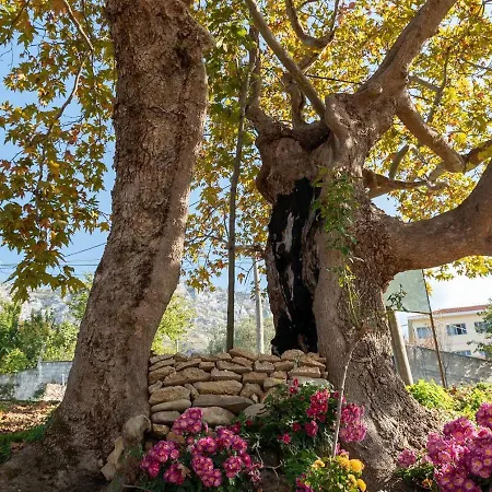 Vila Ballabanec 1 Villa *
